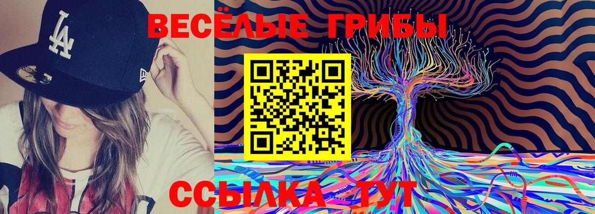 Галлюциногенные грибы мухоморы  Вход с VPN  Чапаевск 